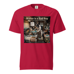 Lesnort - "Walter is a Bad Boy" Parody Graphic Tshirt