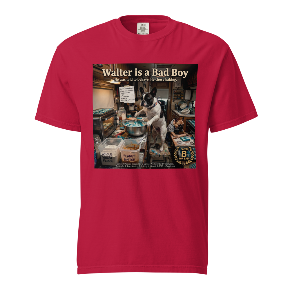 Lesnort - "Walter is a Bad Boy" Parody Graphic Tshirt