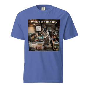 Lesnort - "Walter is a Bad Boy" Parody Graphic Tshirt